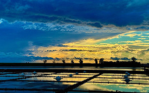 光電板破裂有毒物外洩？農業專家澄清：政治鬥爭勿害慘漁民 