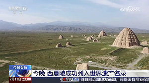 西夏陵列入世界遺產 中國世界遺產總數達60項