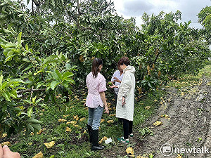 陳亭妃籲比照蘇迪勒颱風模式  丹娜絲颱風農漁災復貸款應第一年免息