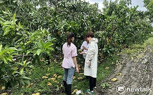 陳亭妃籲比照蘇迪勒颱風模式  丹娜絲颱風農漁災復貸款應第一年免息