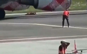 離奇! 義大利男子闖機場禁區遭飛機引擎吸入慘死 目擊者驚呼場面駭人