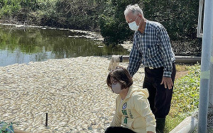 台南溪北農漁業受災嚴重 賴惠員籲：丹娜絲災復貸款首年免息