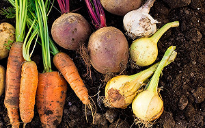 颱風後啟動「蔬菜平價措施」！北農明起釋11種平價蔬菜抑菜價