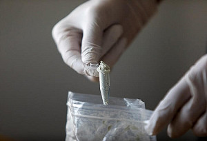 川普簽署法案加強打擊芬太尼 非法販運至少關10年