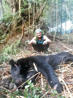 山老鼠獵食台灣黑熊被求償500萬 法官認「無主物」駁回