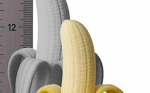 18公分變12.5？男子控泌尿醫師害他縮水！提供照片遭法官「這句話」打槍