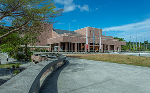 退役解放軍來台穿五星旗「想買軍警票」！高美館秒回：外國人沒有