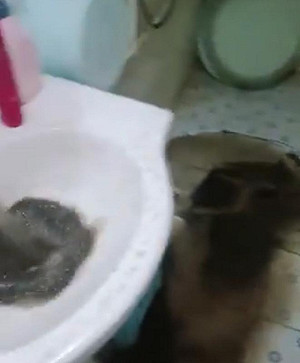 (影) 「洗澡像泡糞水」杭州7官員受處分！中國多地水汙染 網怒吼：連喝水都不安全