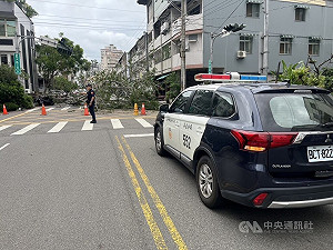 台中北屯路樹倒塌壓損3車　幸無人傷