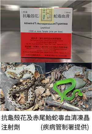 8月蛇吻高峰「全台血清儲備點公開」！疾管署：45歲以上男性最易中招