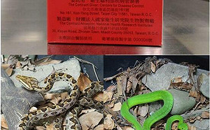 8月蛇吻高峰「全台血清儲備點公開」！疾管署：45歲以上男性最易中招