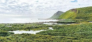 追蹤中國潛艇! 美駐愛沙尼亞軍官建議150億美元向俄買「這島」....