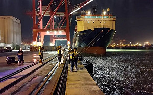 高雄港管制區驚傳休旅車墜海！1分鐘高速闖關直線衝入海中   人車失蹤僅1黑狗游出水面