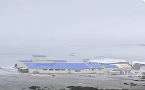 日本海嘯應驗龍樹諒預言？俄8.8強震 命理師警告今年「這3地方」別去....