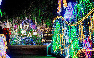 暑假熱到爆？快上梨山吃水蜜桃避暑去！燈光節勇奪雙金獎超吸睛