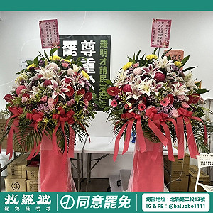 羅明才成立反罷後援會 罷團贈花藍「拒絕舔共」:我們是來守住台灣價值非來亂