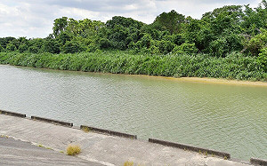 南投貓羅溪水位上漲　許淑華提醒車輛撤離低窪地