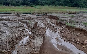 大樹光電案場遇豪雨打回原形  柯志恩促市府加強監督力道