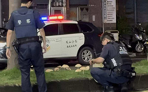 菇掰！高雄分隔島「綠褶菇」掀熱議 公園處警告誤食下場超慘 