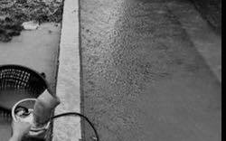 冒雨搶救作物 彰化青農移動抽水機觸電身亡