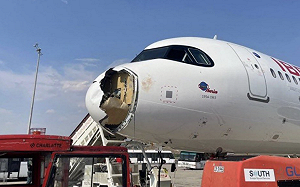 （影）西班牙最新客機鳥擊驚魂！機頭破大洞、引擎扇葉受損 乘客：無法呼吸