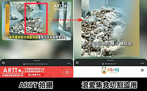 盜用「狗園泡水照」引民眾買糧！上萬人受騙  網友：X！早上才剛捐