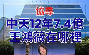 王鴻薇控大支兼文總執委領補助  綠委:中天承攬標案逾7.4億 是奉旨給飯?
