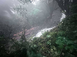 豪雨釀災!林保署:北大武山步道受損不開放   預訂山屋全額退費