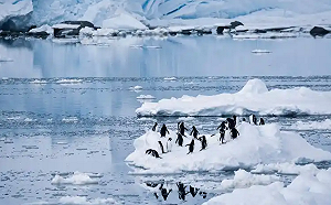 5,110億桶石油藏南極！俄、中啟動掠奪計畫 美、澳一時竟束手無策