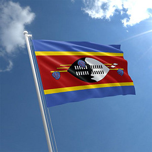 非洲唯一台灣邦交國! 史瓦帝尼突入一帶一路  接下中企逾42億建壩工程