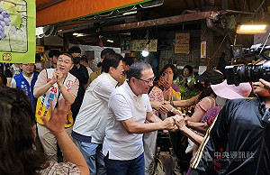 兩市長陪羅明才掃街反罷  綠營訴求台灣價值優先