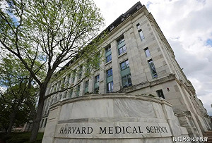 阿茲海默症可逆轉! 哈佛團隊發現低劑量鋰助恢復記憶 已著手人體臨床試驗