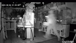 （影）太愛Labubu！加州4竊賊開贓車洗劫21萬商品 小商店大損失