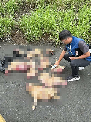 雲林1越南籍移工非法販售狗肉　遭裁罰10萬元