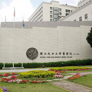 學霸的逆襲！學習歷程造假高中生錄取成大醫　網：17歲沒被擊倒很可貴