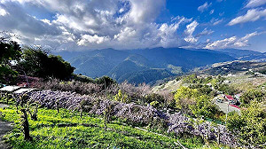 台中市唯一 大梨山今午起停班停課