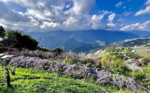 台中市唯一 大梨山今午起停班停課