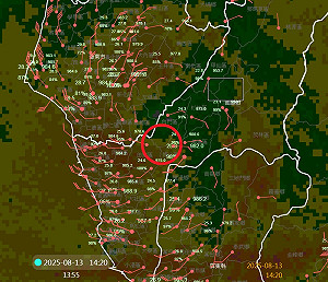 楊柳颱風快閃過山「結構未破壞」！網驚：智慧型颱風