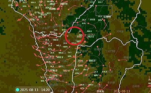 楊柳颱風快閃過山「結構未破壞」！網驚：智慧型颱風