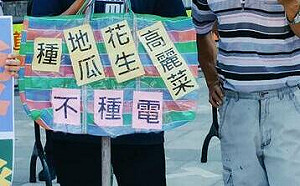 地瓜故鄉變光電村？彰化大城被貼「低地力」標籤 農民抗議拒絕種電