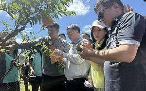 楊柳颱風重創台東 農損逾3億！農業部：「從寬從簡從速」全力救助