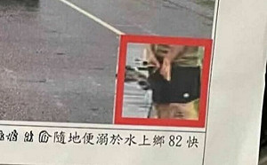 路邊小便慘收罰單！「便溺特寫照」遭網友笑評：連鳥都不放過