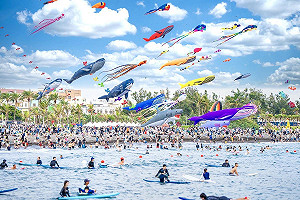 高雄旗津風箏節狂吸近25萬人潮  大港閱冰2天5萬人塞爆