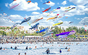 高雄旗津風箏節狂吸近25萬人潮  大港閱冰2天5萬人塞爆