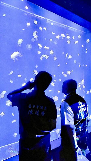 台中海洋館8/21試營運 在地議員建議應有現場售票