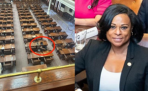 拒簽政治「許可證」! 德州女議員硬槓共和黨 被迫困在議會內