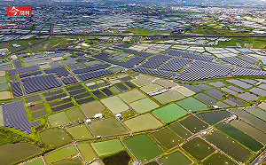漁電共生為何變雙殺？養殖戶憤慨：規定說改就改…我們的努力一再被政府踐踏