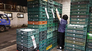 又見批發芬普尼蛋！北市急令下架開罰