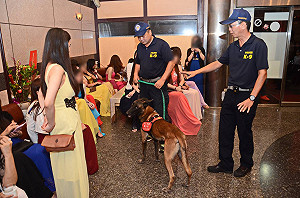 檢警帶狗封城掃毒 槍、毒難逃法眼