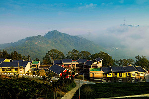 雲林古坑新景點 全國最長太平雲梯